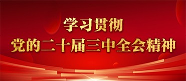 学习贯彻党的二十届三中全会精神.jpg
